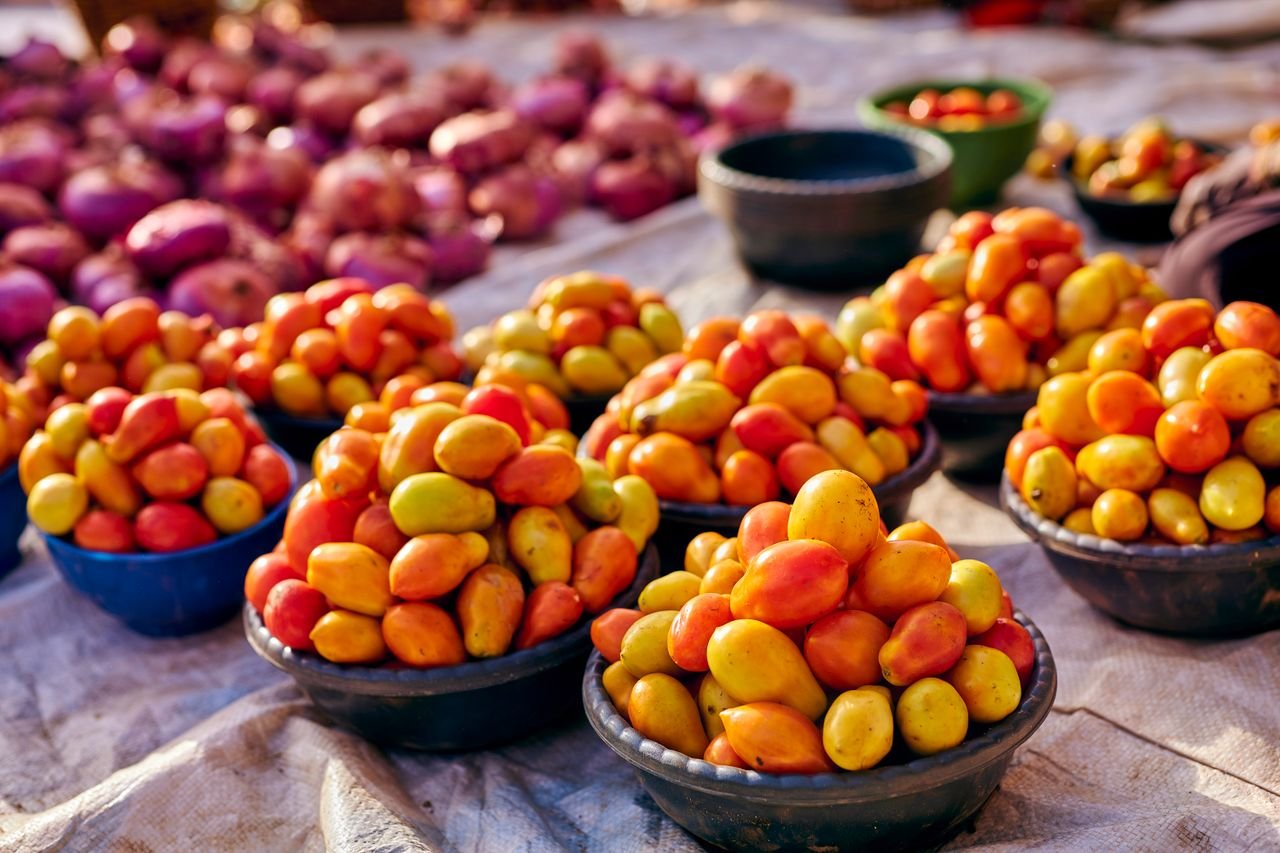 Sementes Hortícolas